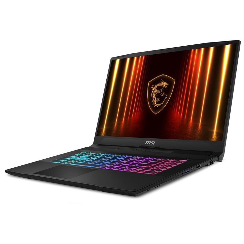 MSI 17.3