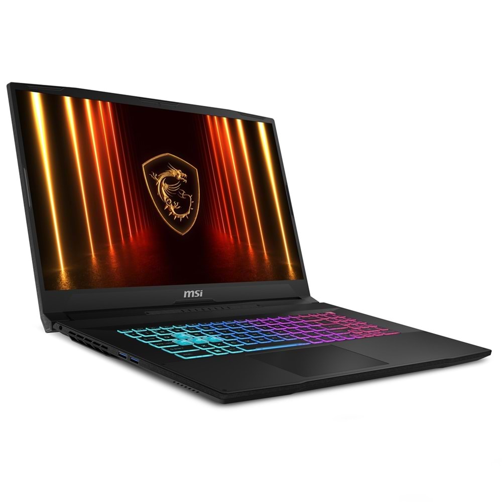 MSI 17.3