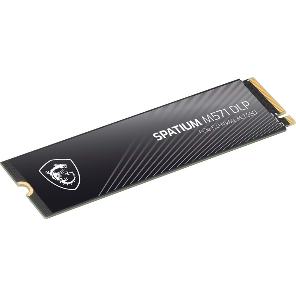 MSI 2TB SPATIUM M571 DLP 14500-11000 M2 NVME GEN5 Disk