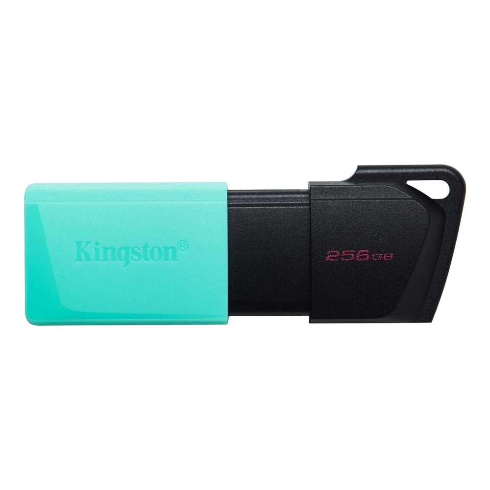 KINGSTON 256gb USB 3.2 Usb Bellek Exodia DTXM/256GB