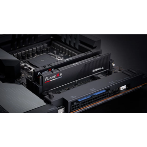 GSKILL 32GB (2X 16GB) DDR5 5600MHZ CL30 DUAL KIT PC RAM FLARE X5 F5-5600J3036D16GX2-FX5
