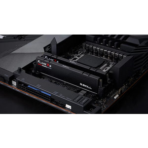 GSKILL 32GB (2X 16GB) DDR5 5600MHZ CL30 DUAL KIT PC RAM FLARE X5 F5-5600J3036D16GX2-FX5