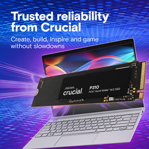 CRUCIAL 2TB P310 CT2000P310SSD8 7100-6000MB/s M2 NVME GEN4 Disk