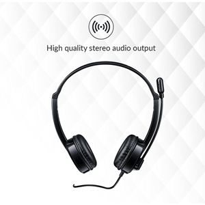 RAPOO H100 Kablolu Kulak Üstü Kulaklık - Mikrofonlu - 3.5mm - Siyah