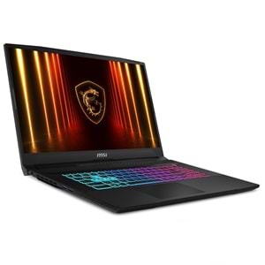 MSI 17.3