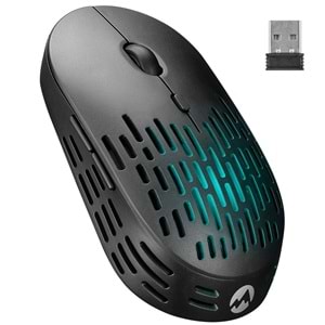 EVEREST SM-W73 Kablosuz + Bluetooth Siyah Mouse