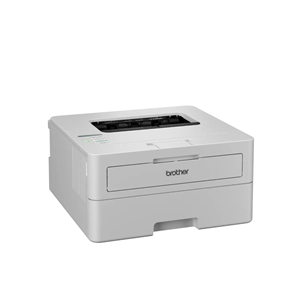 BROTHER A4 HL-B2181DW Siyah Dublex Lazer Yazıcı Usb,Kablosuz,Ethernet