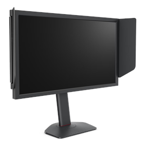 BENQ 24.1