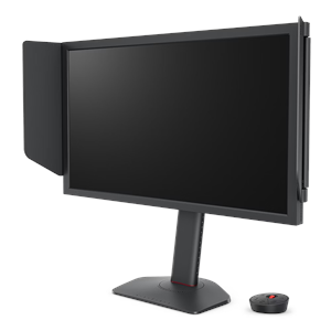 BENQ 24.1