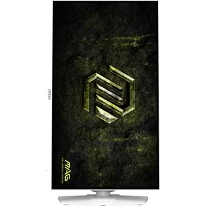 MSI 27