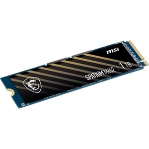 MSI 1TB SPATIUM M452 3500-2700MB/s M2 NVME GEN4 Disk