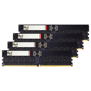 GSKILL 192GB (4X 48GB) DDR5 RDIMM 6400MHZ CL32 G5 PC RAM / G5 NEO F5-6400R3239G48GQ4-G5N