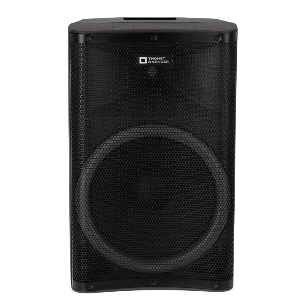 THONET & VANDER Stark Gen2 HK096-03646 250W RMS TWS Bluetooth 5.0 RGB Kablosuz Mikrofonlu Party Speaker