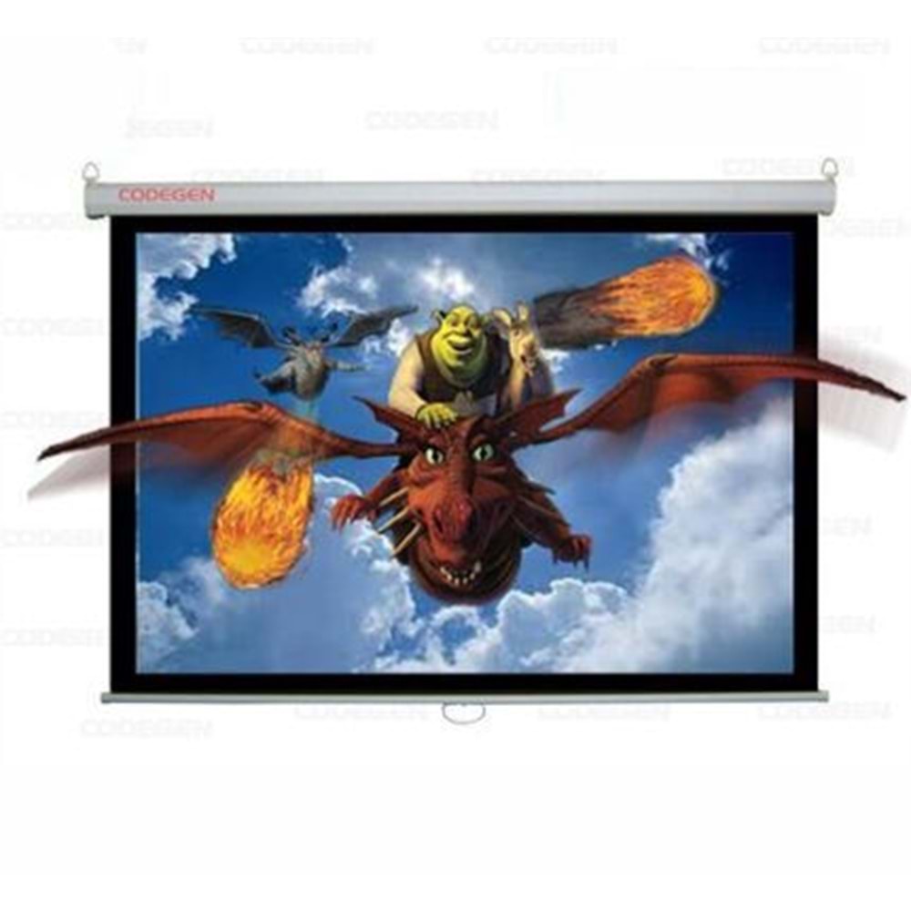 Codegen FEX-50 500*375Motorlu kumandalı perde,M1