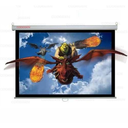 Codegen FEX-50 500*375Motorlu kumandalı perde,M1