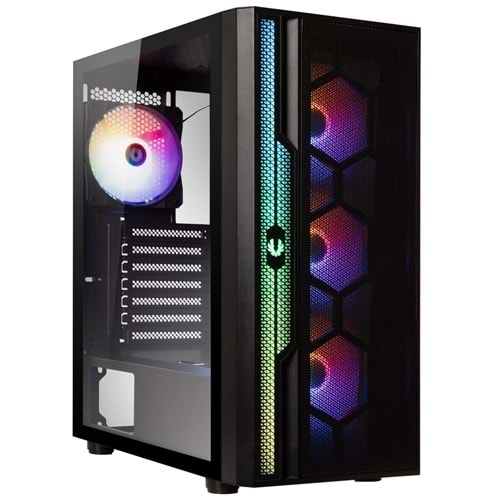 BITFENIX APOLLO APL-300-KKGXP-4F Gaming Mid-Tower PC Kasası